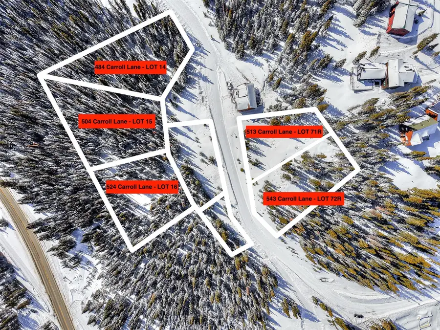 484 Carroll Lane, Breckenridge, CO 80424 - #3