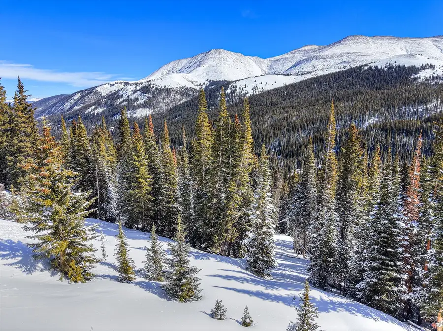 504 Carroll Lane, Breckenridge, CO 80424 - #3