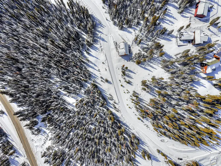 524 Carroll Lane, Breckenridge, CO 80424 - #3