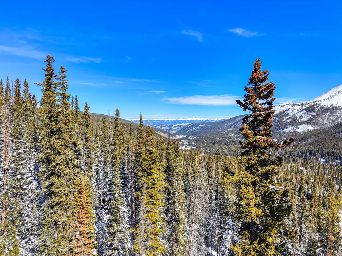 513 Carroll Lane, Breckenridge, CO 80424 - #1