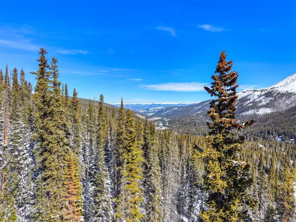 513 Carroll Lane, Breckenridge, CO 80424