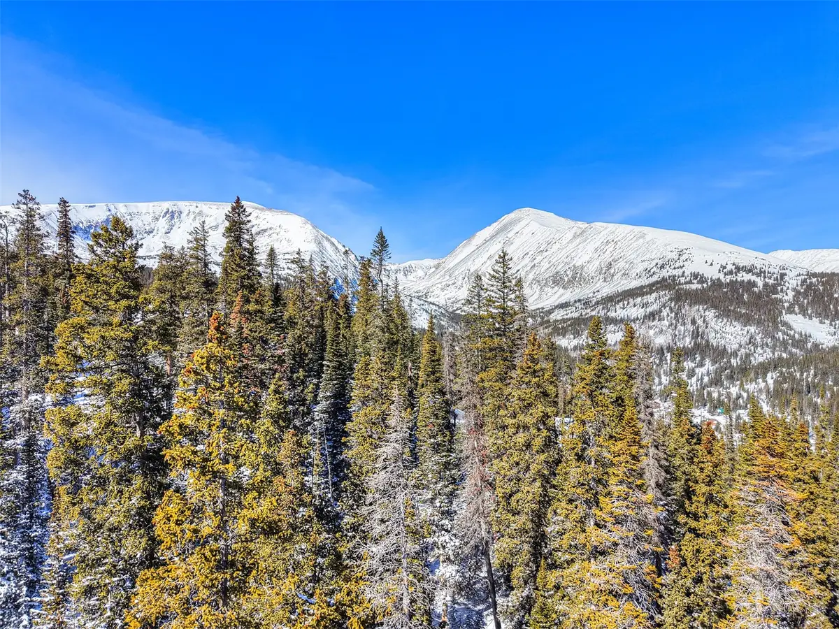 543 Carroll Lane, Breckenridge, CO 80424 - #1