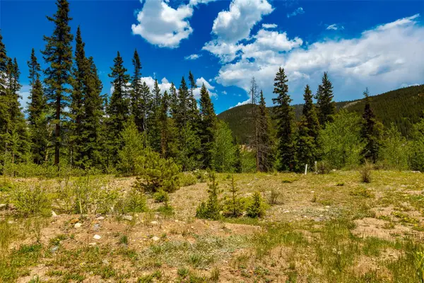 522 Quartzville Road, Alma, CO 80420