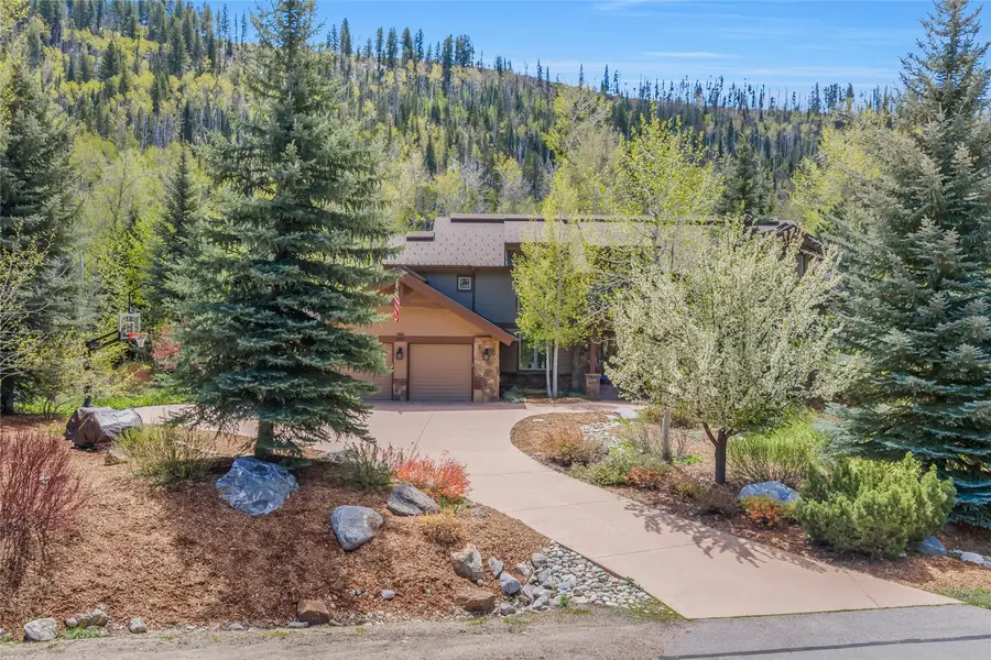 3153 Aspen Wood Lane, Steamboat Springs, CO 80487 - #3