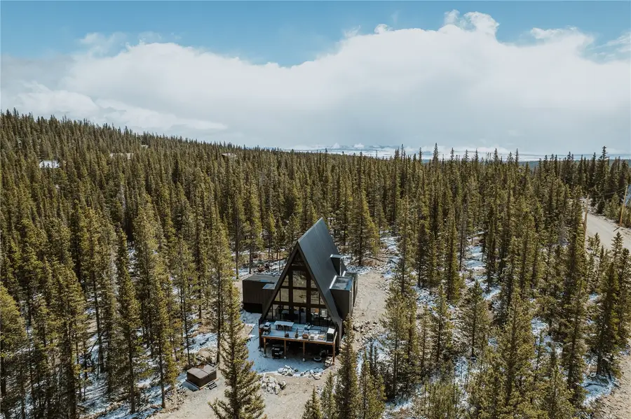 223 Guymard Road, Fairplay, CO 80440 - #3