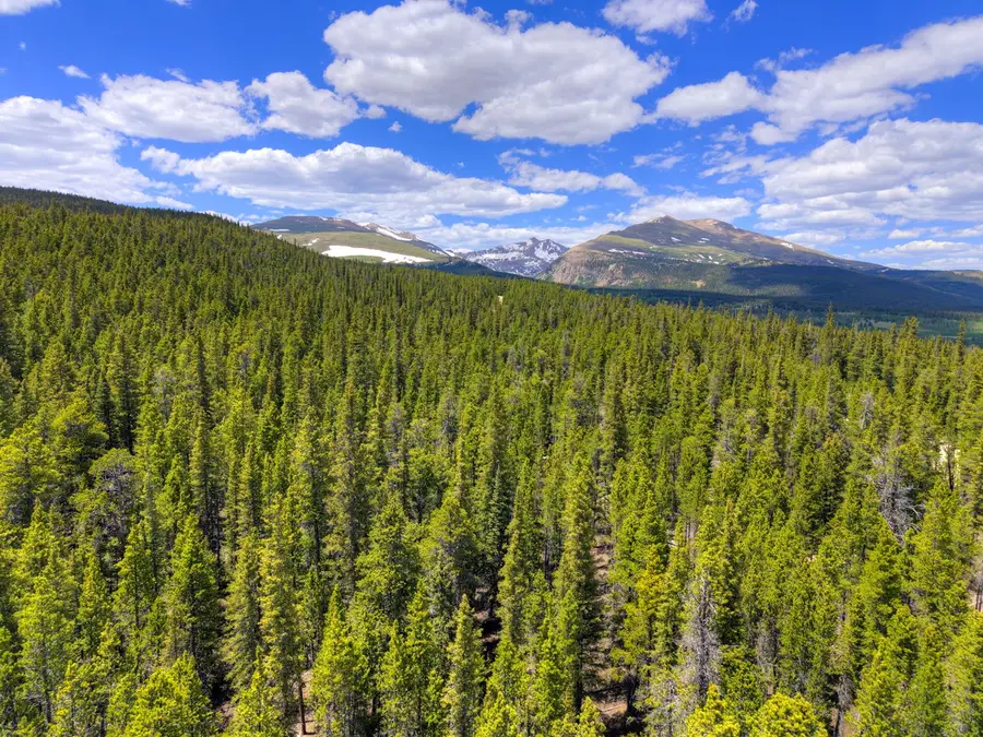 2221 Kootchie Kootchie Road, Alma, CO 80420 - #3