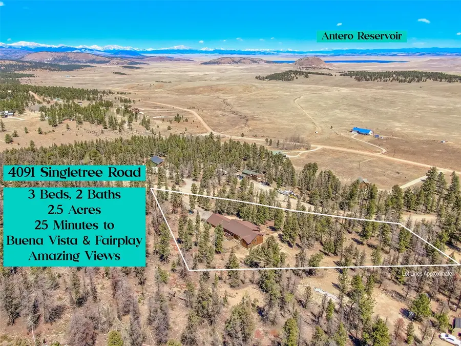 4091 Singletree Road, Hartsel, CO 80449 - #3