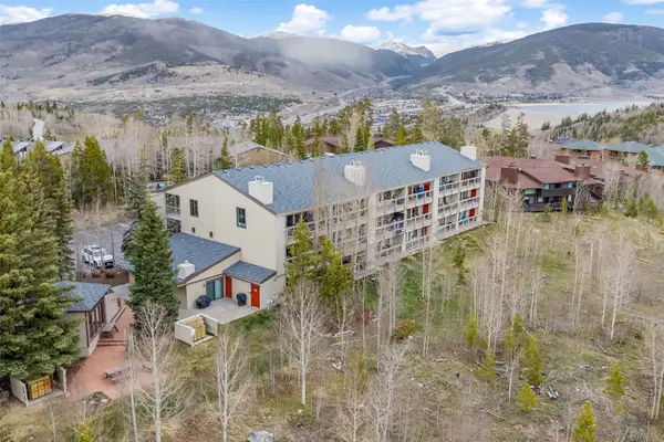 4626 Ryan Gulch Road #4626, Silverthorne, CO 80498