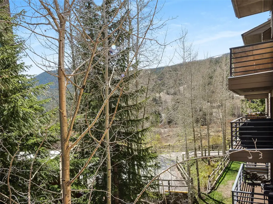 23034 Us Highway 6 #305, Keystone, CO 80435 - #2