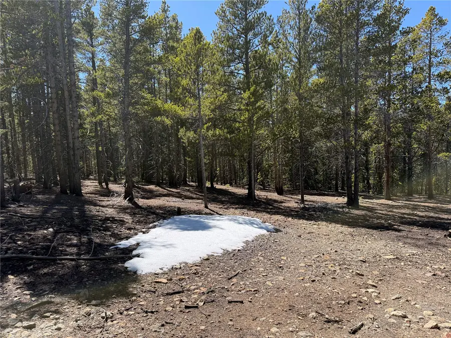 966 Lady Alice, Leadville, CO 80461 - #3