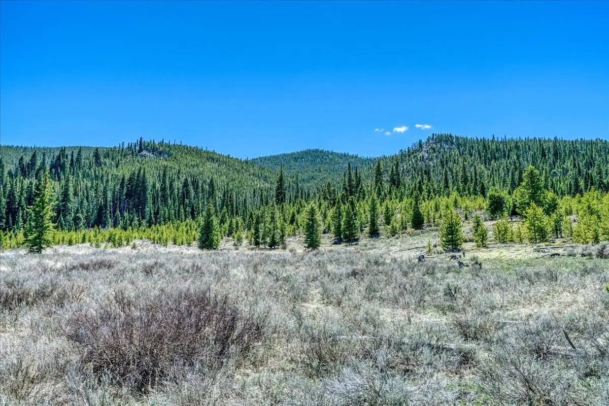 370 Meadow Wood Circle, Dillon, CO 80435 - #1