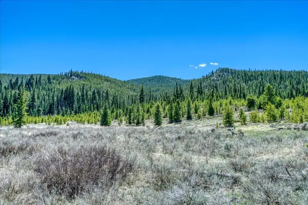 370 Meadow Wood Circle, Dillon, CO 80435