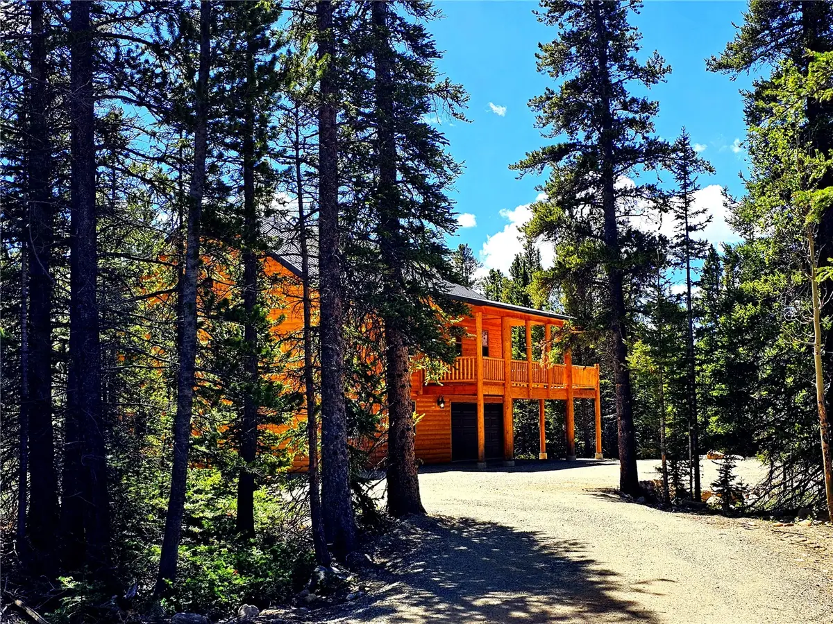 228 Gold Trail, Fairplay, CO 80440 - #1