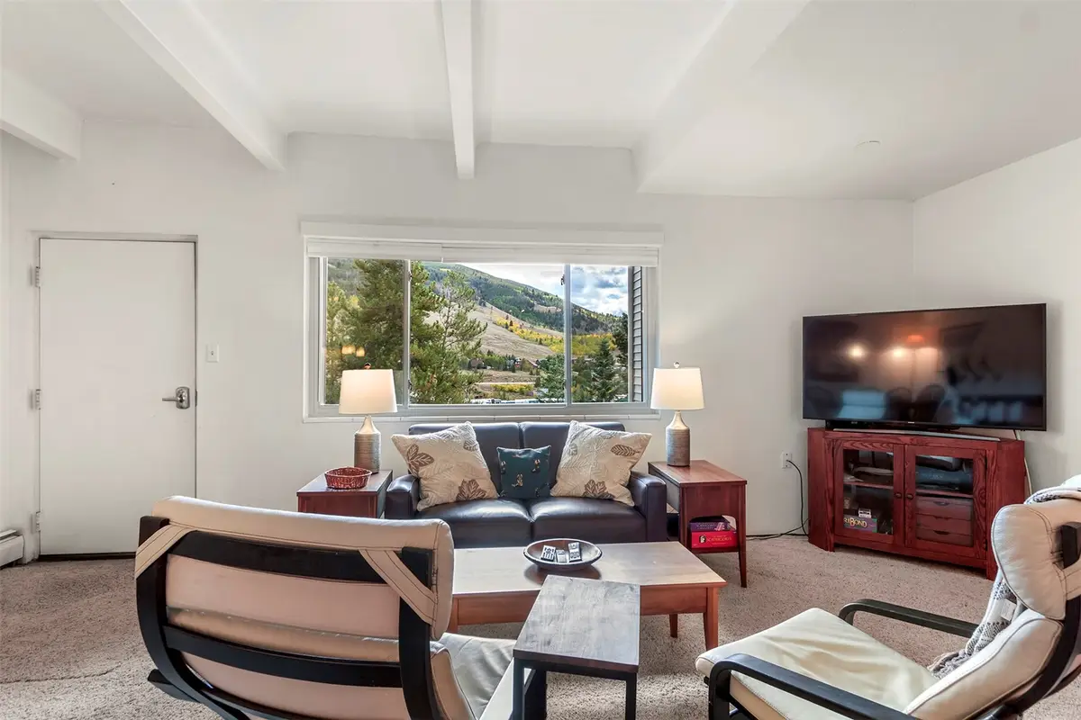 370 E La Bonte Street #F, Dillon, CO 80435 - #1