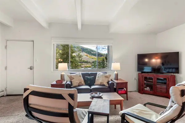 370 E La Bonte Street #F, Dillon, CO 80435