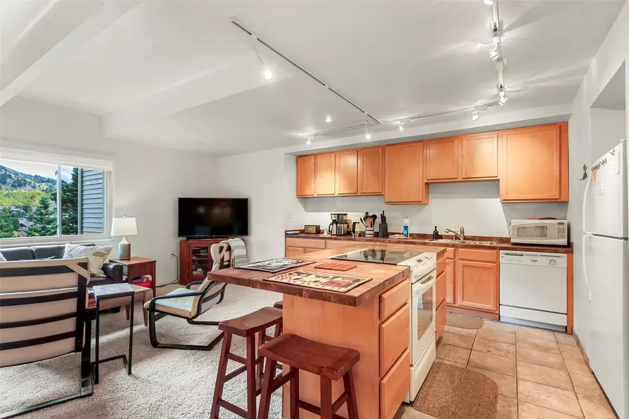 370 E La Bonte Street #F, Dillon, CO 80435 - #2