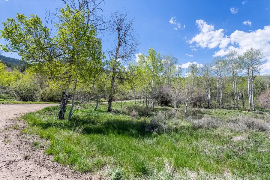 24155 Arapahoe Road, Oak Creek, CO 80467 - #2