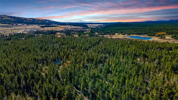 235 Willow Lane, Alma, CO 80440
