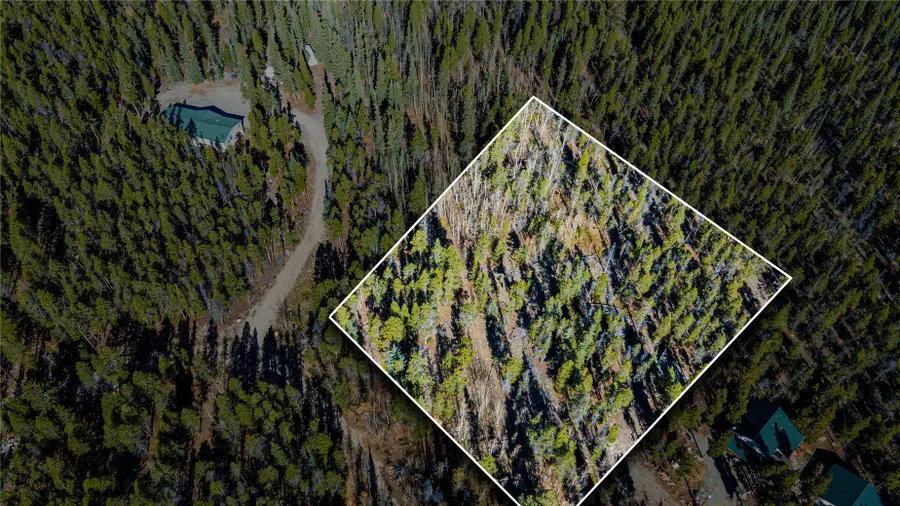 235 Willow Lane, Alma, CO 80440 - #2