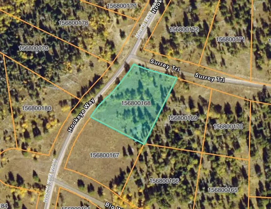 TBD Surrey Trail, Oak Creek, CO 80467 - #3