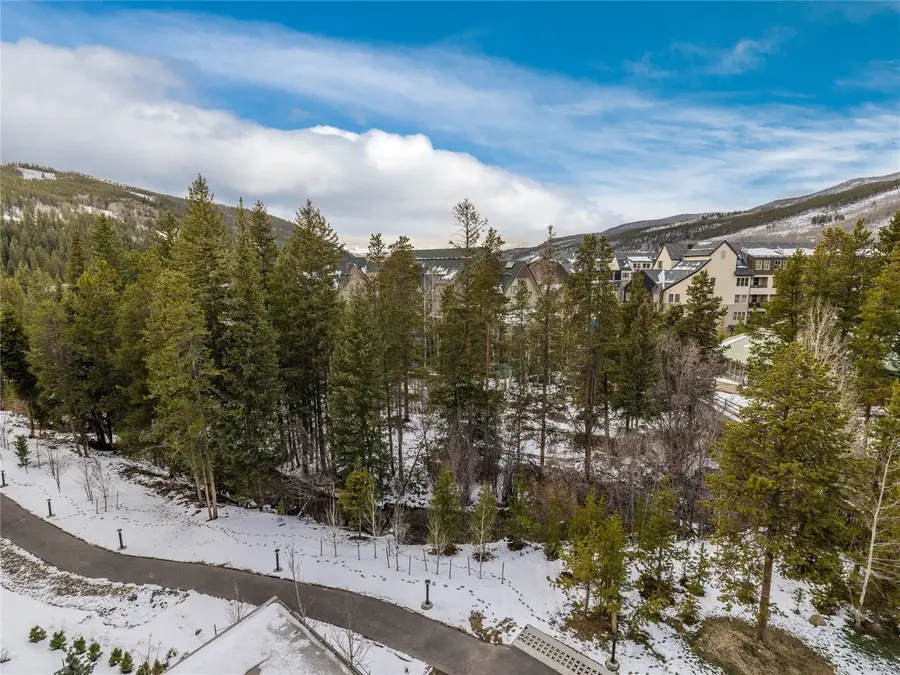 75 Hunki Dori Court #W501, Keystone, CO 80435 - #3