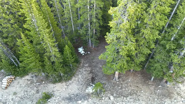 210 Silverheels Place, Fairplay, CO 80440