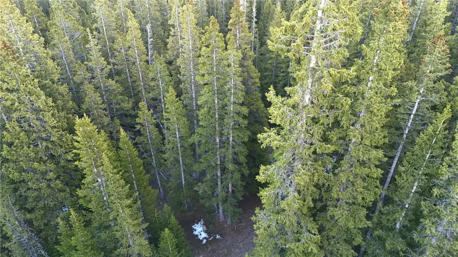 210 Silverheels Place, Fairplay, CO 80440 - #2