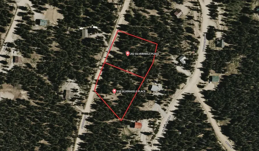 210 Silverheels Place, Fairplay, CO 80440 - #3