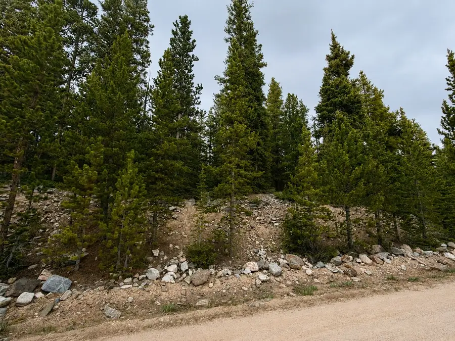 367 Puma Place, Fairplay, CO 80440 - #2