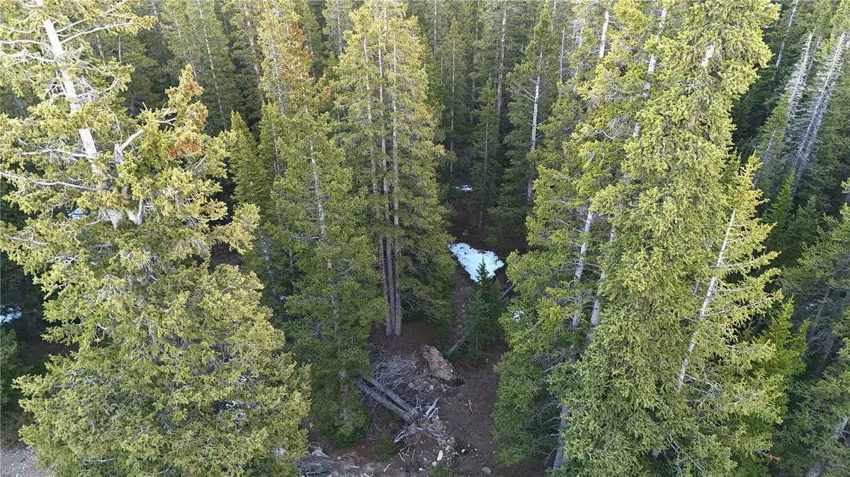 252 Silverheels Place, Fairplay, CO 80440 - #1