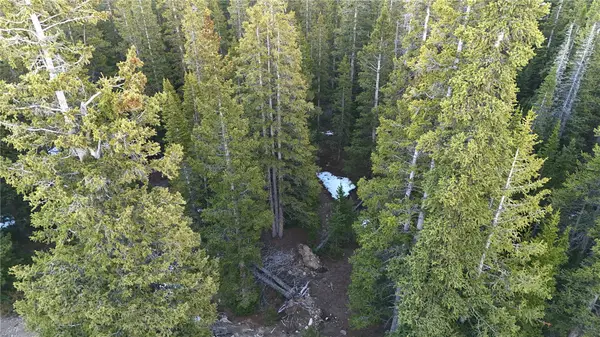 252 Silverheels Place, Fairplay, CO 80440