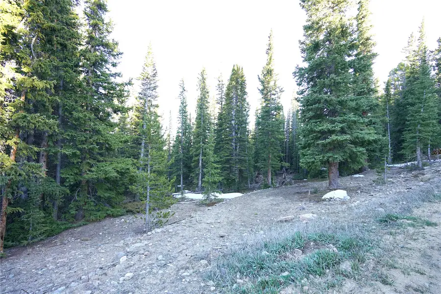 252 Silverheels Place, Fairplay, CO 80440 - #2