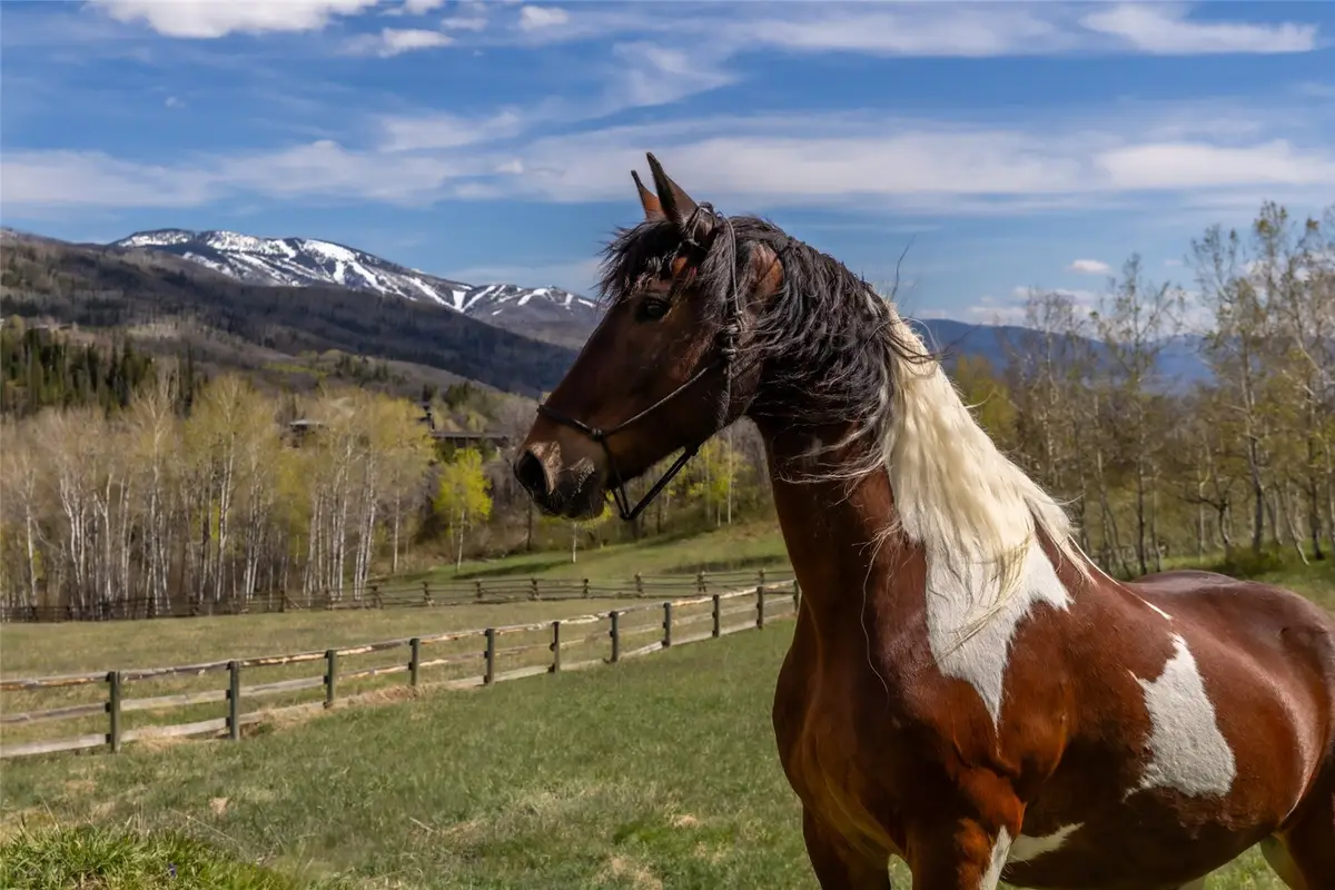 31775 Bradley Ranch, Steamboat Springs, CO 80487 - #1
