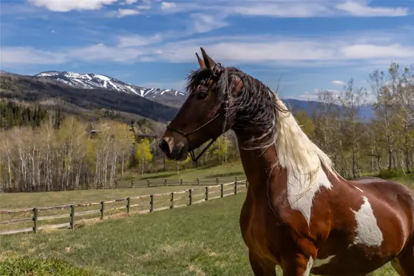 31775 Bradley Ranch, Steamboat Springs, CO 80487