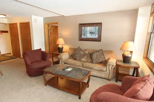 189 Ten Mile Circle #332, Copper Mountain, CO 80443 - #3