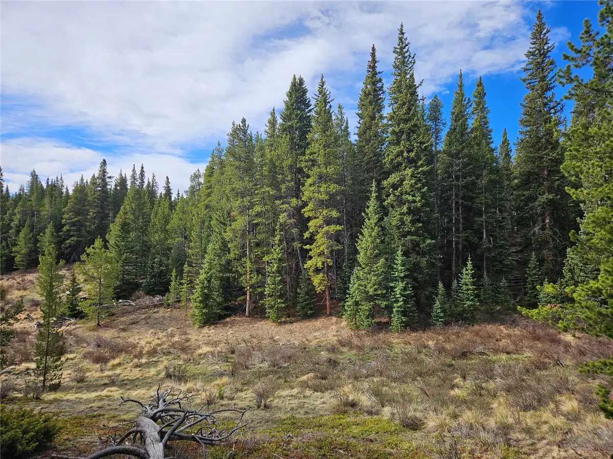 PCS#7765 & 12057 Rollies Trail, Alma, CO 80420 - #1