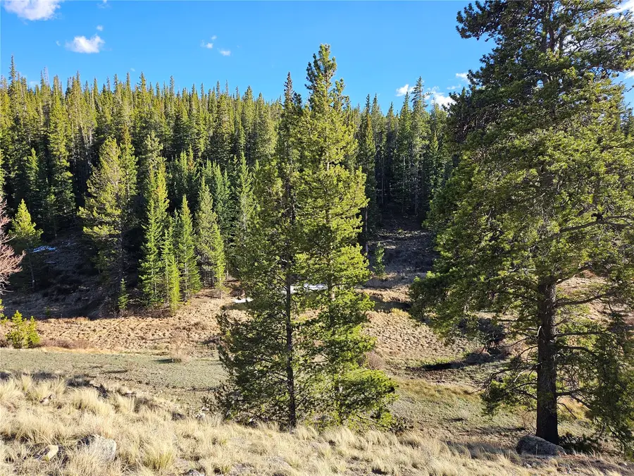 PCS#7765 & 12057 Rollies Trail, Alma, CO 80420 - #2