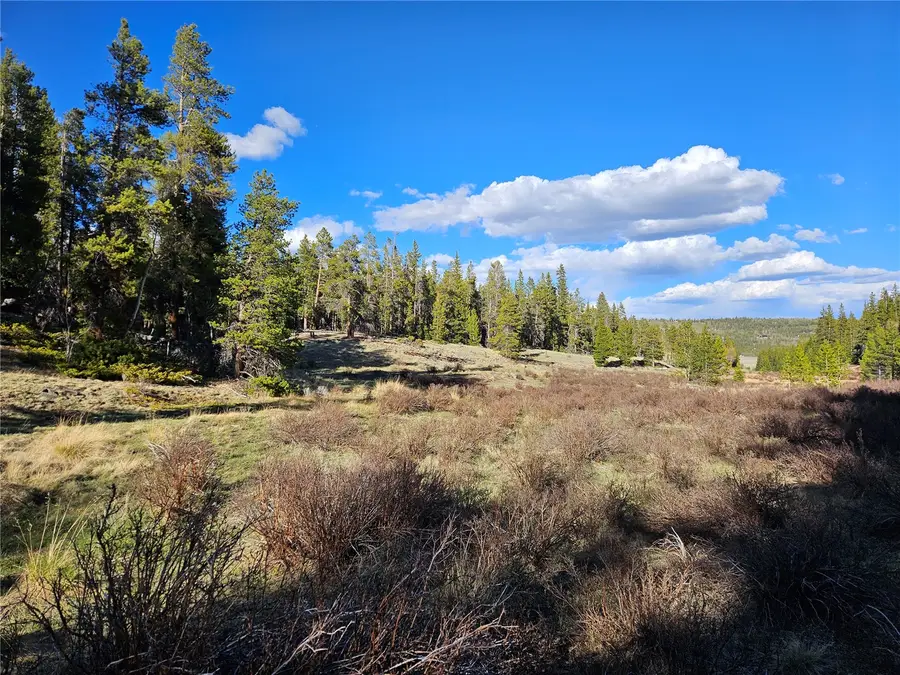 PCS#7765 & 12057 Rollies Trail, Alma, CO 80420 - #3