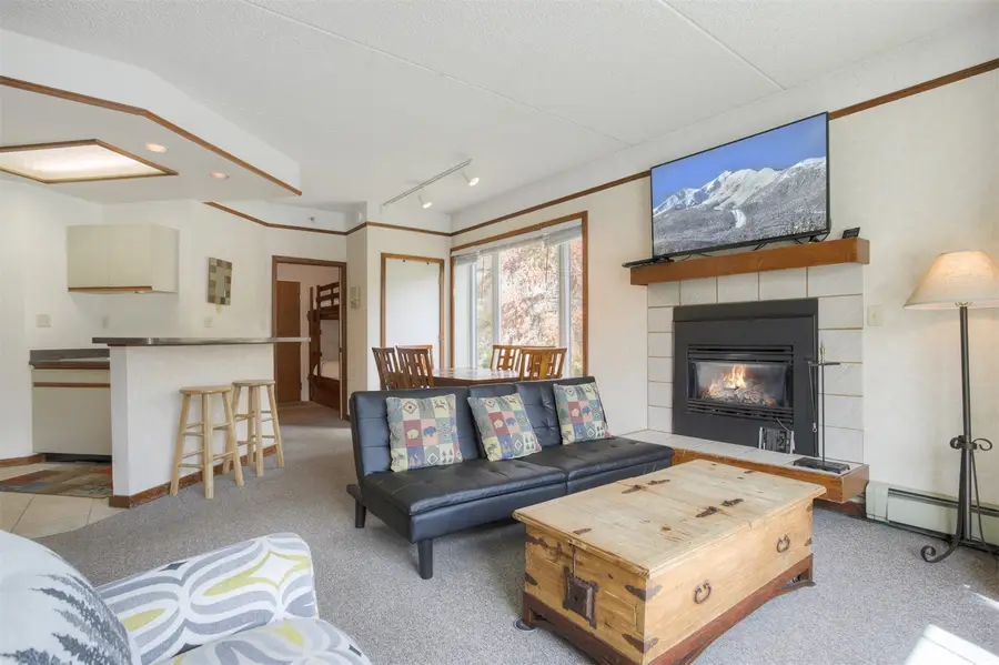 45 Beeler Place #2307, Frisco, CO 80443 - #3