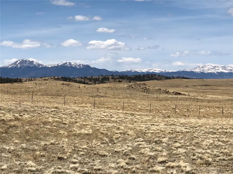 0 Lenape Trail, Hartsel, CO 80449 - #2