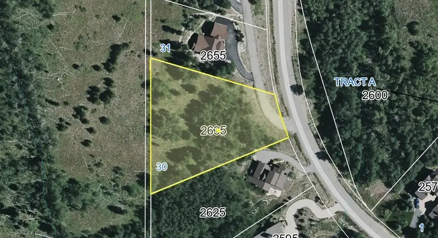 2635 Hunters Knob Road, Silverthorne, CO 80498 - #3