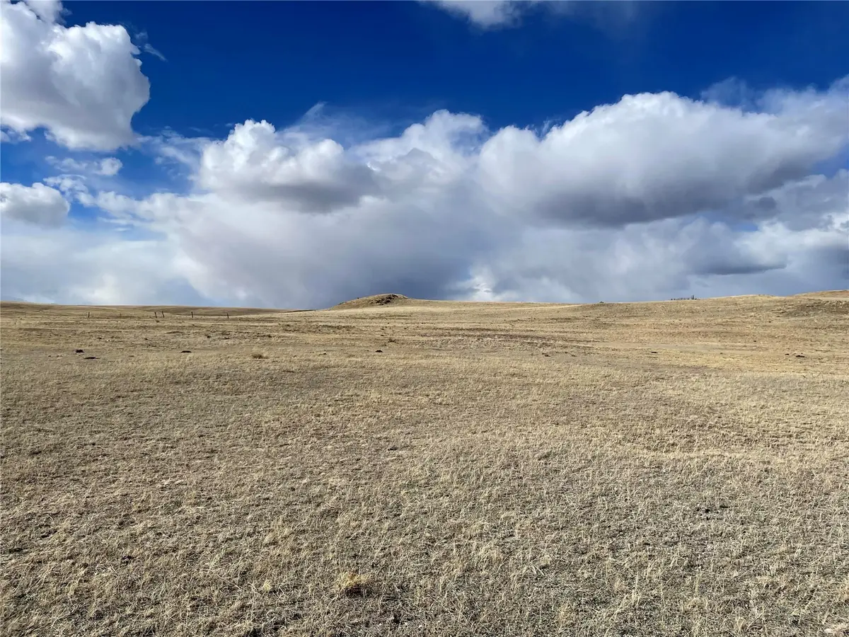 305 Badger Lane, Hartsel, CO 80449 - #1