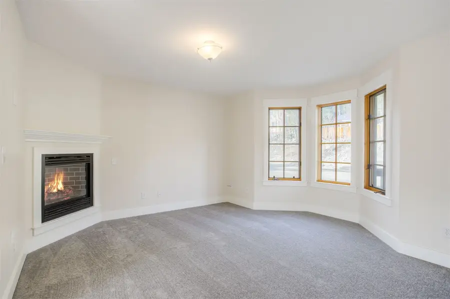 372 N Oak Street, Alma, CO 80420 - #2