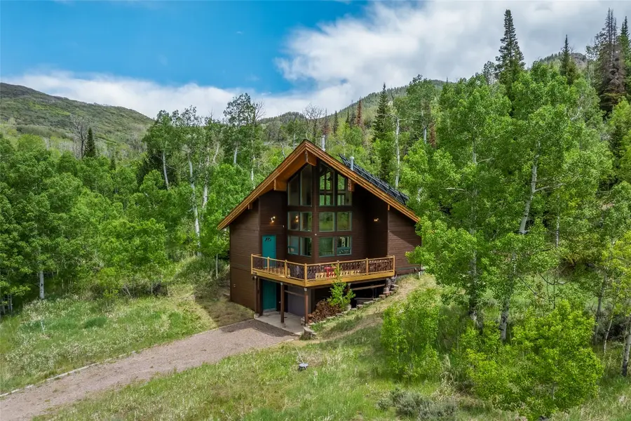 31380 Shoshone Way, Oak Creek, CO 80467 - #2