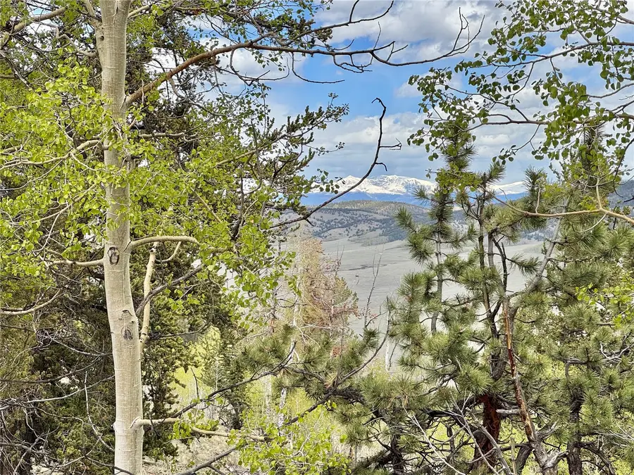 5544 Middle Fork Vista, Fairplay, CO 80440 - #2