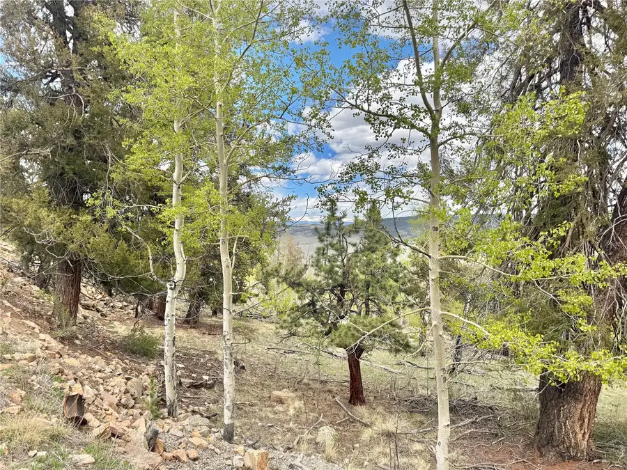 5544 Middle Fork Vista, Fairplay, CO 80440 - #3