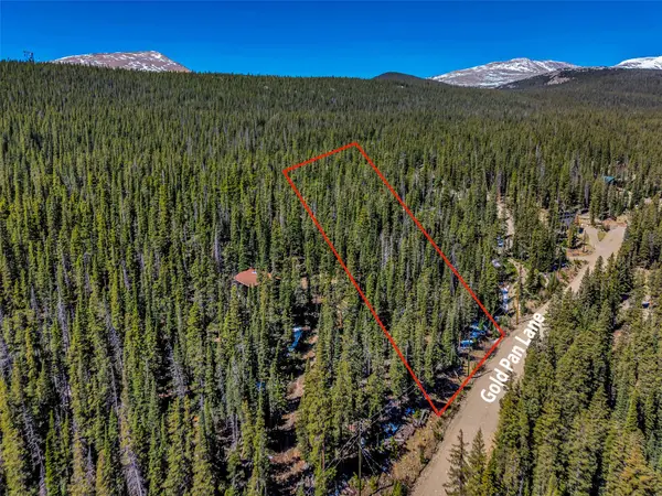 880 Gold Pane Lane, Fairplay, CO 80440