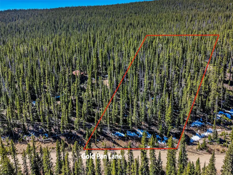 880 Gold Pane Lane, Fairplay, CO 80440 - #3