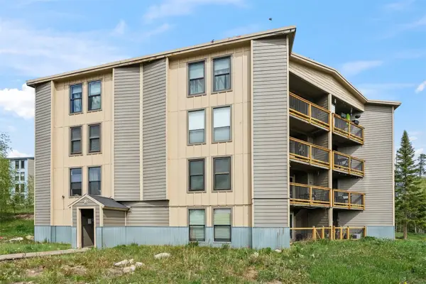 8100 Ryan Gulch Road #106, Wildernest, CO 80498