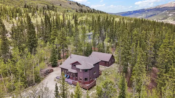 366 Quartzville Road, Alma, CO 80420